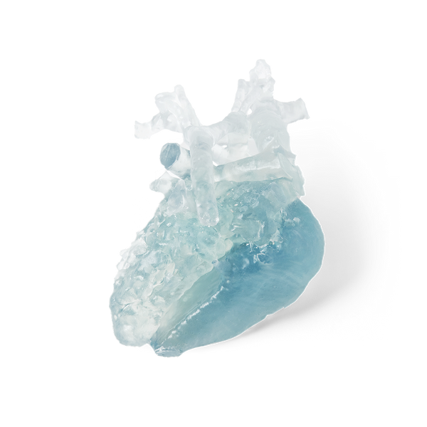 BioMed Flex 80A Resin (Form 3) 1 L