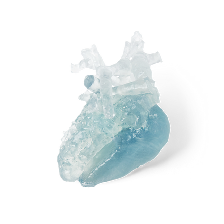 BioMed Flex 80A Resin (Form 3) 1 L