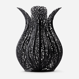 Black Pigment