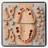 Model Resin V2 (Form 3) 1 L