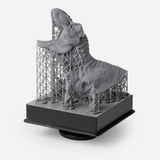 Formlabs Grey Pro Resin 1L (RS-F2-PRGR-01)